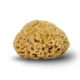 Cocoon - honeycomb svamp - 10-11 cm.